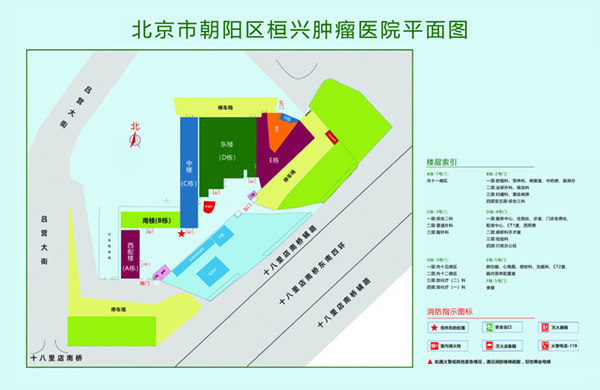 东北老太太操轮头黄片操北京市朝阳区桓兴肿瘤医院平面图